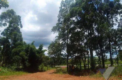 Chácara à venda, 10000 m² por r$ 1.800.000,00 - paris - guaraniaçu/pr