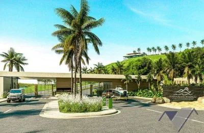 Terreno à venda, 468 m² por r$ 660.000,00 - vila gaúcha - nova prata do iguaçu/pr