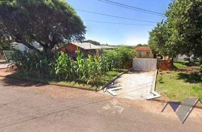 Terreno à venda, 450 m² por r$ 310.000,00 - universitário - cascavel/pr
