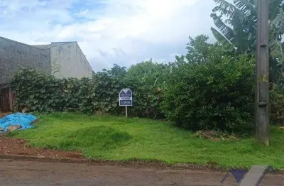 Terreno à venda na Rua Sociologia, Universitário, Cascavel