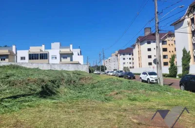 Terreno à venda, 465 m² por r$ 750.000,00 - country - cascavel/pr