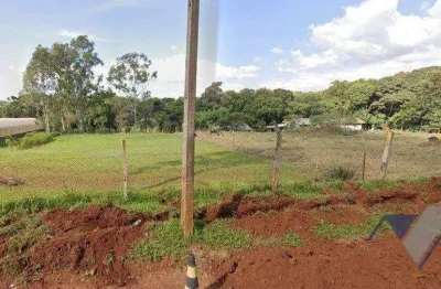 Terreno à venda, 3000 m² por r$ 1.115.000,00 - lago azul - cascavel/pr