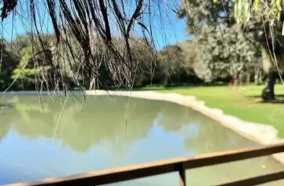 Terreno à venda, 300 m² por r$ 960.000,00 - alto alegre - cascavel/pr