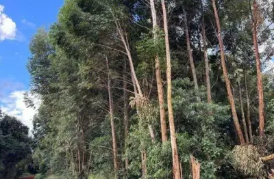 Área à venda, 21000 m² por r$ 1.500.000,00 - rural - cascavel/pr