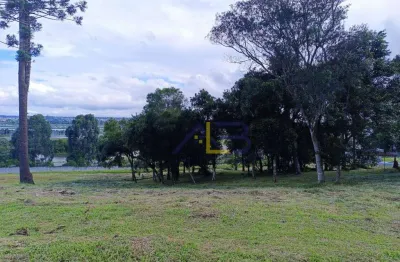 Terreno à venda, 1411 m² por r$ 870.000 - jardim amélia - pinhais/pr