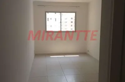 Apartamento de 55m² com 2 quartos em santa terezinha