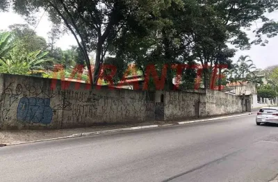 Terreno à venda na Rua Luís Carlos Gentile de Laet, Horto Florestal, São Paulo