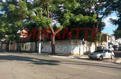 Terreno à venda na Avenida Conceição, Vila Guilherme, São Paulo