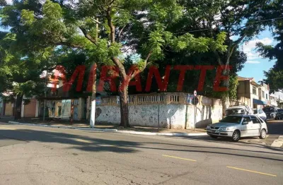 Terreno à venda na Rua Caçador, Vila Guilherme, São Paulo