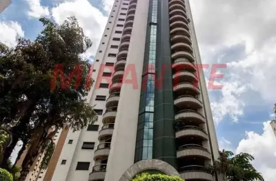 Apartamento de 463m² com 4 quartos em anália franco