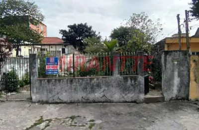 Terreno à venda na Avenida Hermínia Fidélis, Pirituba, São Paulo