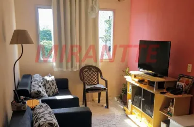 Apartamento com 2 quartos à venda na Rua Pedro Brasil Bandecchi, Vila Amélia, São Paulo