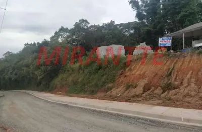 Terreno à venda na Avenida Presidente Tancredo de Almeida Neves, Hortolândia, Mairiporã