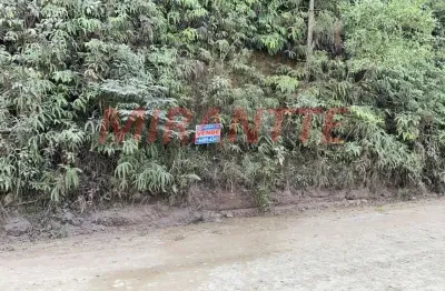 Terreno à venda na Estrada Delegado Arcy de Castro Oliveira Vicente, São Vicente, Mairiporã