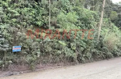 Terreno à venda na Estrada Delegado Arcy de Castro Oliveira Vicente, São Vicente, Mairiporã