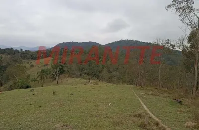 Terreno à venda na Rua E, Recanto Bonanza, Santa Isabel