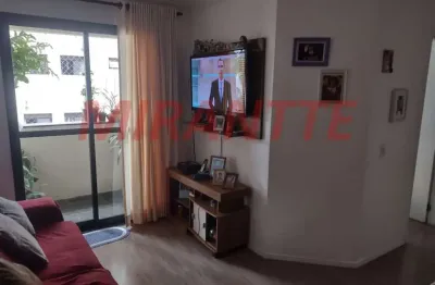 Apartamento de 72m² com 3 quartos em horto florestal
