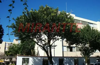 Apartamento de 52m² com 2 quartos em vila guilherme