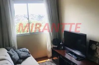Apartamento de 52m² com 2 quartos em lauzane paulista