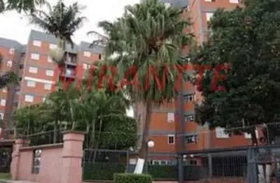 Apartamento com 3 quartos à venda na Rua Albertina Vieira da Silva Gordo, Vila Aurora (Zona Norte), São Paulo