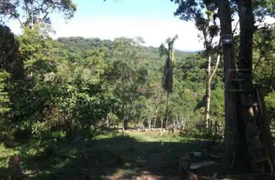 Chácara / sítio com 3 quartos à venda na Estrada Dona Siderurgica, Jardim Eliana, São Paulo