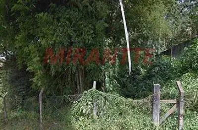Terreno à venda na Rua Maria Amélia Monteiro, Horto Florestal, São Paulo