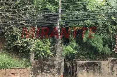 Terreno à venda na Avenida Corifeu de Azevedo Marques, Butantã, São Paulo