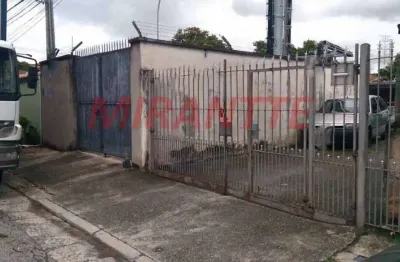 Terreno à venda na Rua Antônio Armando, Vila Bonilha, São Paulo