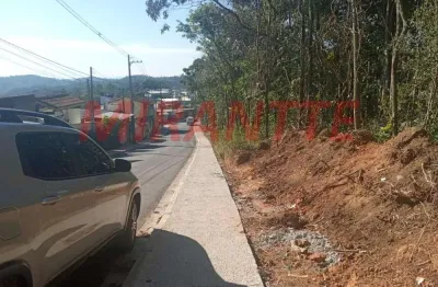 Terreno à venda na Estrada Da Roseira, Serra da Cantareira, São Paulo
