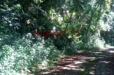 Terreno à venda na Rua Jatobá, Serra da Cantareira, Mairiporã