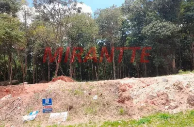 Terreno em condomínio fechado à venda na Rua Luiz Affonso C.M. de A. Otero, Jardim Peri, São Paulo