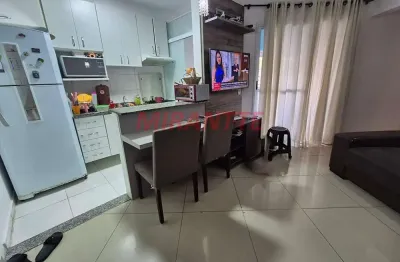 Apartamento de 49m² com 2 quartos em vila bela vista
