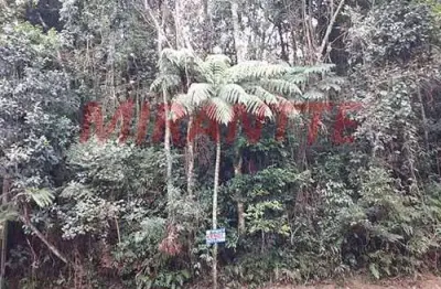 Terreno em condomínio fechado à venda na Rua Icapara, Serra da Cantareira, Mairiporã