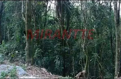 Terreno à venda na Alameda Inglaterra, Serra da Cantareira, São Paulo
