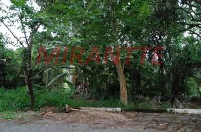 Terreno em condomínio fechado à venda na Rua das Figueiras, Serra da Cantareira, São Paulo