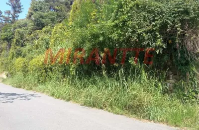Terreno à venda na Alameda Dos Jequitibas, Parque Petrópolis, Mairiporã