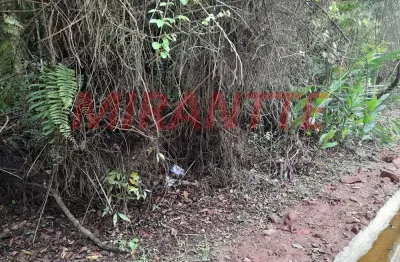 Terreno em condomínio fechado à venda na Alameda Mandarins, Serra da Cantareira, São Paulo