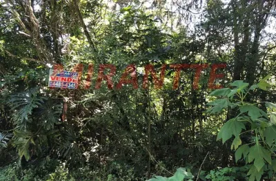 Terreno à venda na Alameda Ouro Velho, Serra da Cantareira, São Paulo