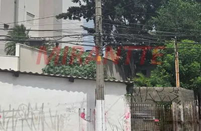 Terreno à venda na Rua Cambará, Vila Bertioga, São Paulo