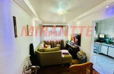 Apartamento de 52m² com 2 quartos em vila vitório mazzei