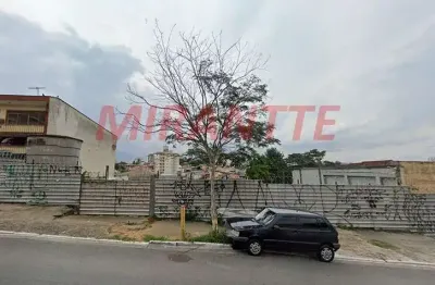 Terreno à venda na Avenida Júlio Buono, Vila Gustavo, São Paulo