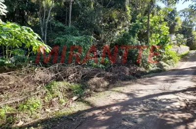 Terreno à venda na Avenida Das Paineiras, Serra da Cantareira, São Paulo