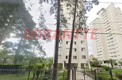 Apartamento de 63m² com 2 quartos em jardim paraiso