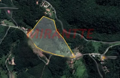 Terreno à venda na Avenida Demétrio Leônidas Konidis, Terra Preta, Mairiporã