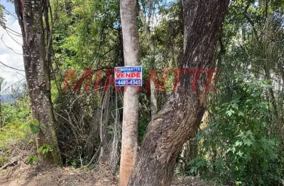 Terreno à venda na Av Dr Arthur De Andrade Filho, Serra da Cantareira, São Paulo