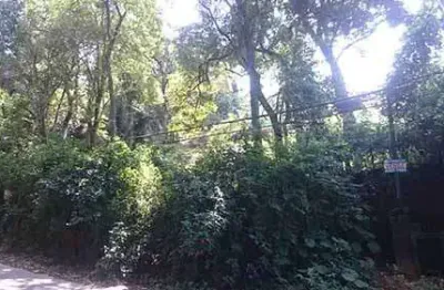 Terreno à venda na Rua Mateus Garcia, Horto Florestal, São Paulo