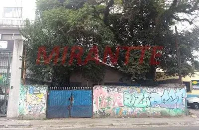 Terreno à venda na Rua das Imbiras, Vila Mazzei, São Paulo