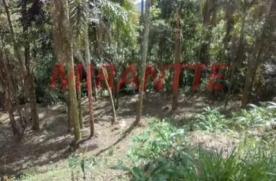 Terreno à venda na Avenida Av Dr. Arthur De Andrade Filho, Serra da Cantareira, Mairiporã