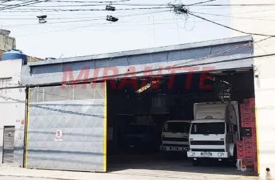 Barracão / Galpão / Depósito à venda na Rua Basílio Alves Morango, Parque Edu Chaves, São Paulo