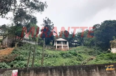 Terreno à venda na Rua Sino Contra-Meão, Vila Albertina, São Paulo